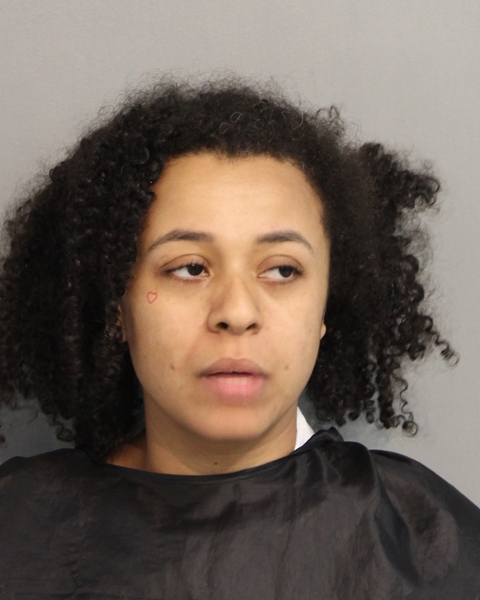 POLICE NEWS - Poinciana mom accused of drowning daughter found competent for trial; local CSAM, federal cases
