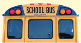 The law (SB 766), which will take effect in July, could lead to drivers facing $225 fines if they get nabbed illegally passing school buses.