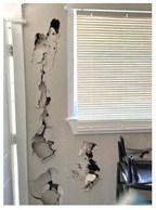 Renter Pattie Peeples helped create new Florida legislation against squatters when a pair of them gained access to her rental home and did tens of thousands of dollars in damage. PHOTO/PATTIE PEEPLES