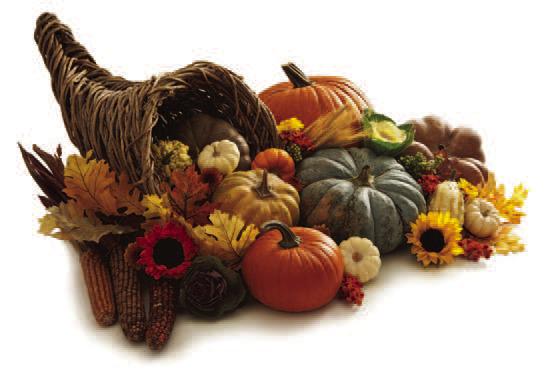 Here’s what to be thankful for this Thanksgiving