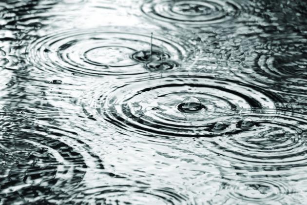 Rain