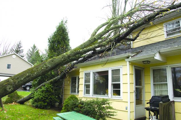 Hurricane damage