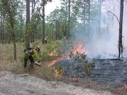 Prescribed burn