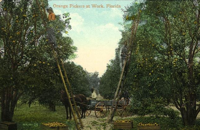 Osceola History