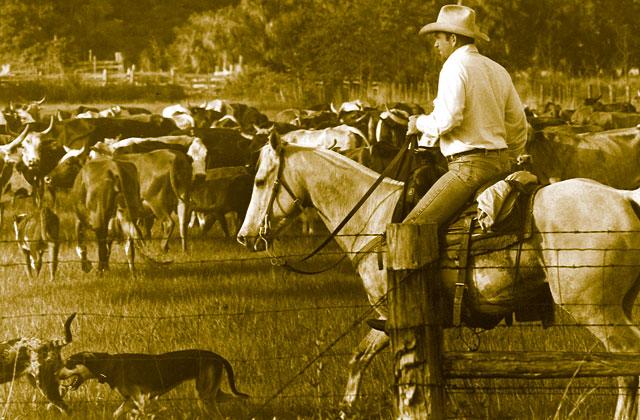 Osceola History