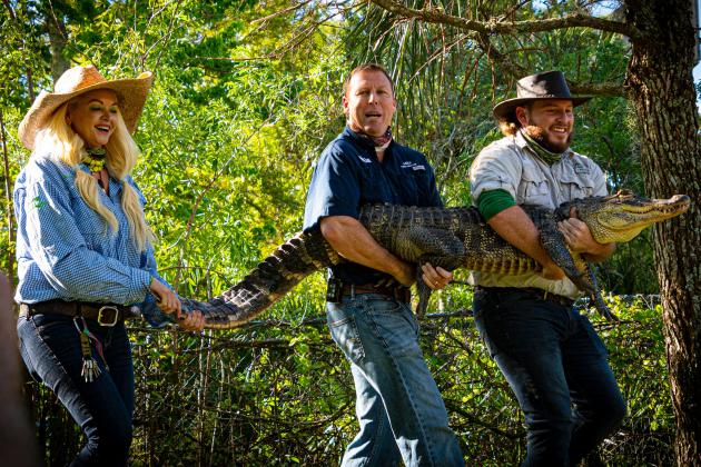 Gatorland welcomed David, the “Lake Michigan Alligator,” to his new forever home.