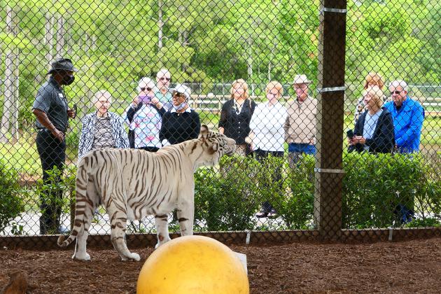 PHOTO/CENTRAL FLORIDA ANIMAL RESERVE