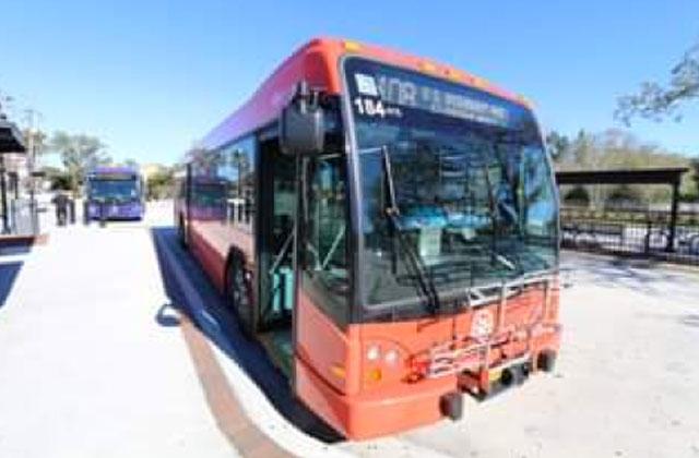 Lynx bus