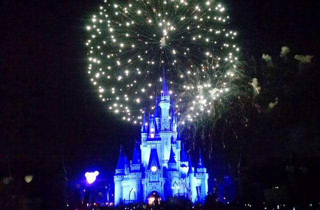 Cinderellas Castle photo provided by Christina Karandreas