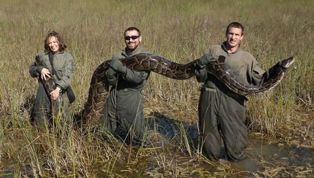 PHOTO/COURTESY OF UNIVERSITY OF FLORIDA