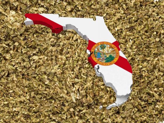 COURTESY OF REGULATE FLORIDA