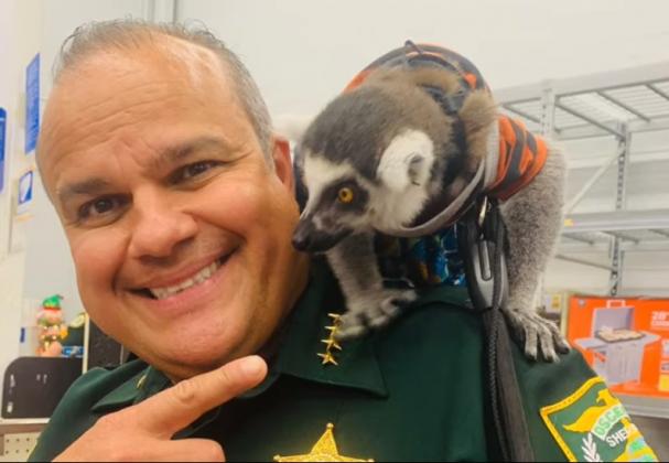 The Osceola County Sheriff’s Office participated in the locally time-honored tradition of Shop With a Cop on Dec. 1 at the St. Cloud Wal-Mart.