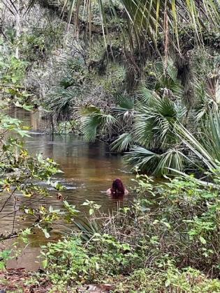 A Wekiva Springs Park hiker took this picture of who her family confirmed is missing Paola Miranda-Rosa. PROVIDED BY OSCEOLA COUNTY SHERIFF'S OFFICE