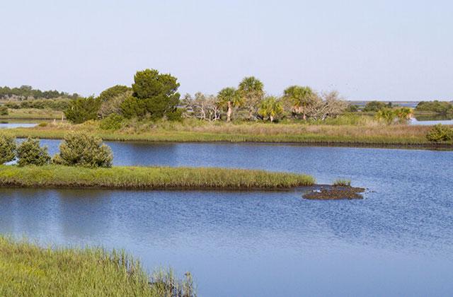 Where a property is located within a drainage basin goes a long way in influencing flood risk. PHOTO/UF-IFAS EXTENSION SERVICES
