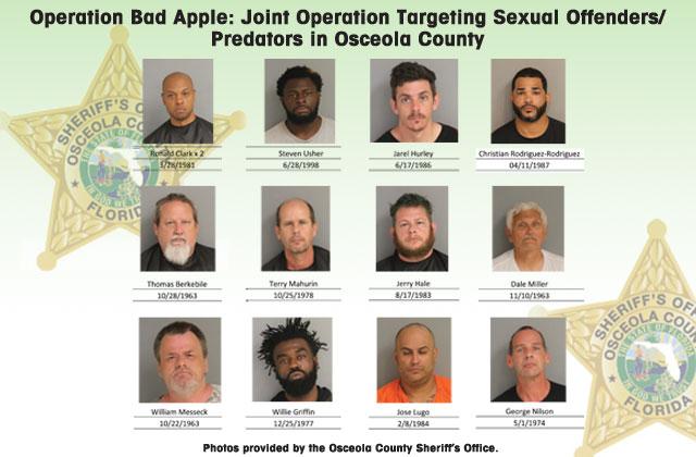 An operation to corral sexual offenders who remained in violation of state statute netted 56 arrests in Osceola County from March 28 through Friday.