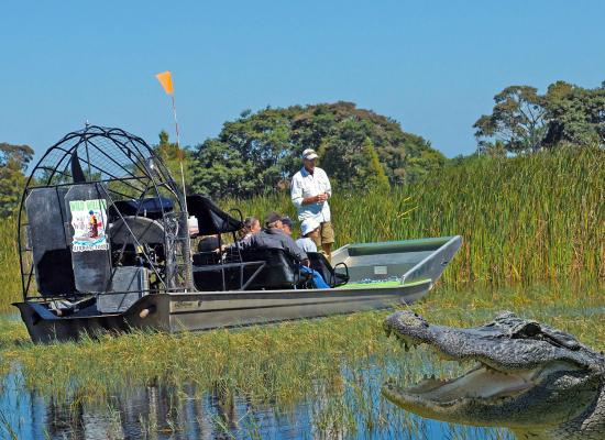 Wild Willy’s Airboat Tours in St. Cloud said alligators are more aggressive this time of year due to nesting season, which ends in September. PHOTO/TRIPADVISOR