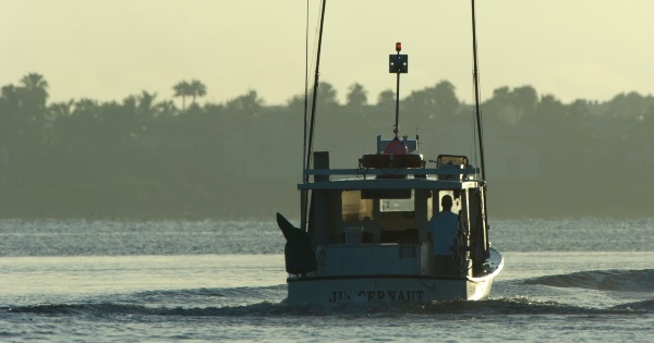 My FWC reminds boaters to use caution on waterways -- if they have to be out at all. PHOTO/SFWMD