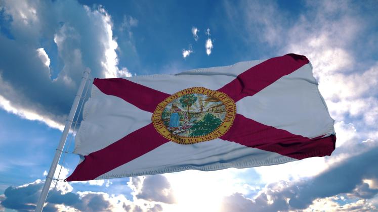 Here's a breakdown of the three Florida Constitution amendments on the Nov. 8 election ballot. PHOTO/REASON.ORG