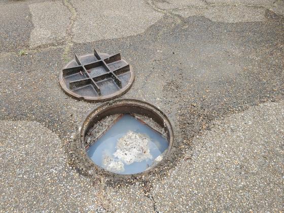 Toho Water asks residents to limit water usage in order to prevent any system backups. PHOTO/REDDIT