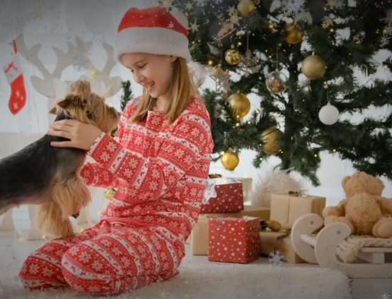 The Osceola County Sheriff’s Office is partnering with Osceola County Animal Services to hold “All I Want for the Holidays is a Home,” for families who’d like to adopt a rescue, and to meet the Sheriff’s Office newest K-9 puppy. PHOTO/OSCEOLA COUNTY SHERIFF'S OFFICE