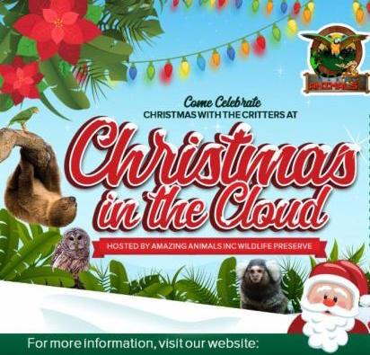 Christmas in the Cloud at Amazing Animals is one of the holiday events going on in St. Cloud.