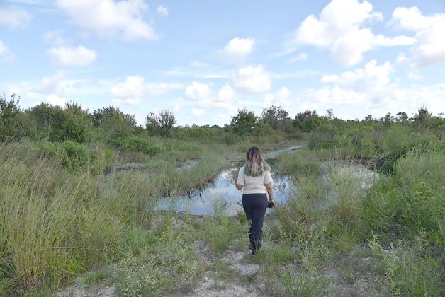 Florida residents and visitors are encouraged to grab their phones and go on a wild adventure during Florida WildQuest 2023. PHOTO/MY FWC