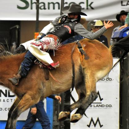 The action will be fast and furious — as usual in the Silver Spurs Arena — at the 151st Silver Spurs Rodeo. PHOTO/KATIE WILLIAMS