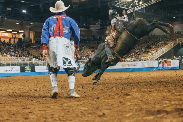 The Silver Spurs Riding Club’s bulls were the real winners of the 151st Silver Spurs Rodeo, as no cowboys had qualifying rides Saturday night.  PHOTO/SILVER SPURS RIDING CLUB