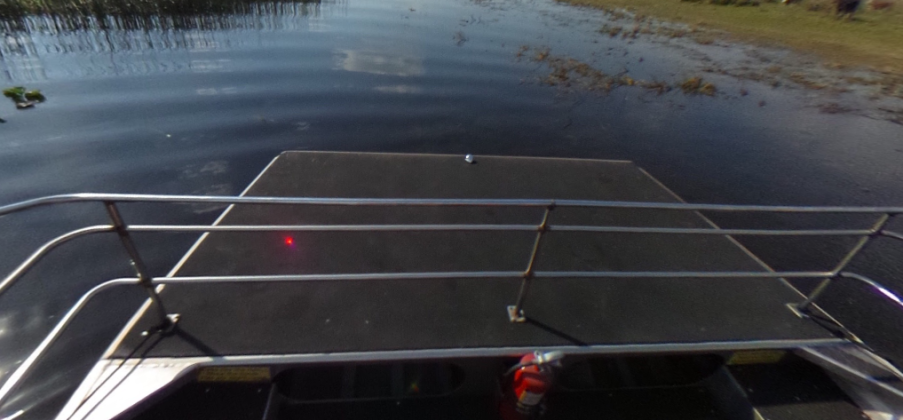 The view from one of the airboat rides at Wild Florida. Two of the boats collided on Monday. GOOGLE MAPS