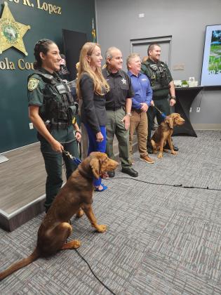 Bloodhounds Luke (foreground) and Doc were introduced Tuesday as part of a new program to enhance its K9 search capabilities. PHOTO/KEN JACKSON