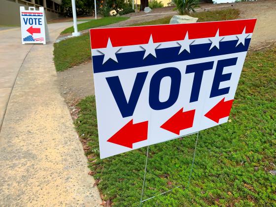 Early voting for Florida's March 19 Presidential Preference Primary begins Saturday in nine locations around Osceola County. FILE PHOTO