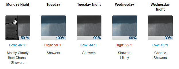 An umbrella AND a good jacket will help get through this wintery week. NWS/WEATHER.GOV