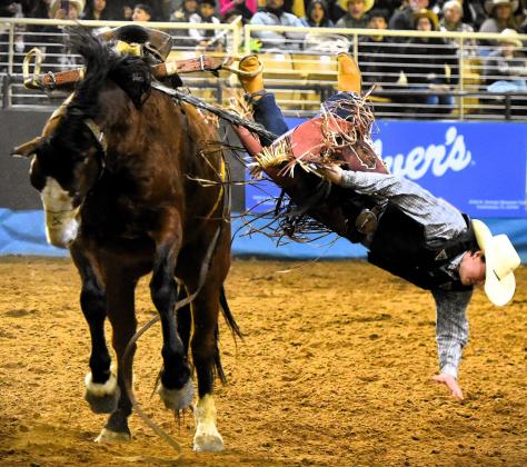 Rodeo — the ultimate man-vs.-beast endeavor. PHOTO/KATIE WILLIAMS
