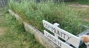 At Chambers Park, the Community Garden will hold a series of free gardening programs through a partnership with the University of Florida Food and Agricultural Sciences Extension.  FILE PHOTO