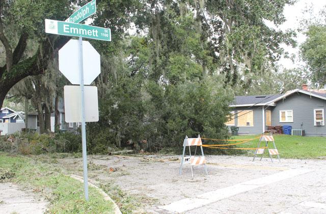 Milton brought down a tree near downtown Kissimmee. (Photos/Ken Johnson)