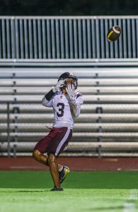 Stacy Taylor hauls in one of his three touchdown catches Friday. (Photo/Taylor McFee)