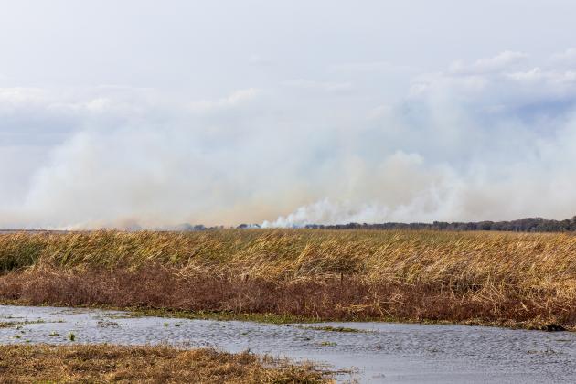 Smoke from a fire along Southport Road south of Lake Tohopekaliga could be clearly seen from Canoe Creek Road to the east. (Photo/Taylor McFee)