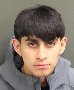 Edar Fabricio Dejesus-Matheu, DOB 10/21/2003. (Photo/Osceola County Sheriff's Office)