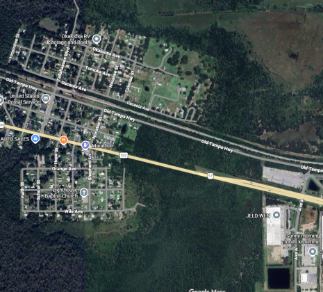 A rabies alert is in effect for the next 60 in this area of Intercession City after  confirmation of rabies in a racoon that was euthanized last weekend. (Google Maps)