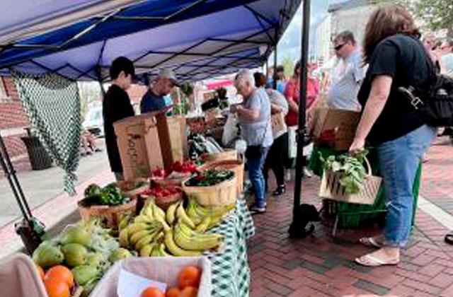 Weekly St. Cloud Farmers Market—Saturdays