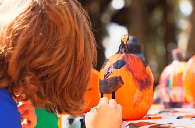 Photo/https://blog.wildfloridairboats.com/pumpkin-painting