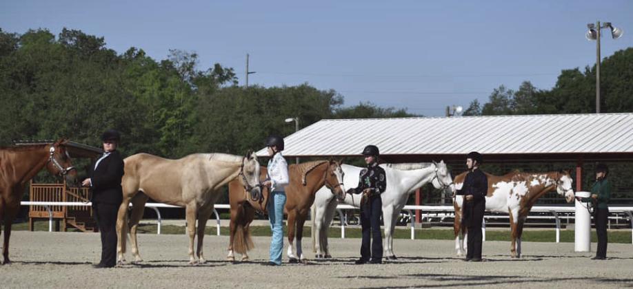 Join Osceola County’s 4-H program for an open house on Sept. 19. PHOTO/EXTENSION SERVICES