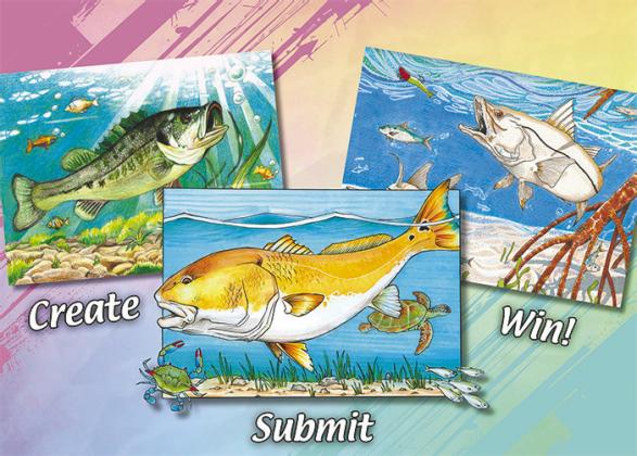 Left: Florida bass artwork by Hannah Wang, Middle: Redfish artwork by Sebastian Romo, Right: Snook artwork by Nicolas Leon. (Photo/FWC)