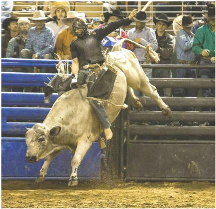 Rodeo fans will be entertained watching seven of the traditional events, including bull riding and women's barrel racing. PHOTOS COURTESY OF SILVER SPURS RODEO