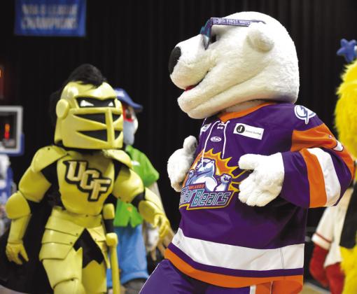 Knightro and Shades. PHOTOS BY KATIE WILLIAMS