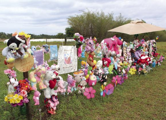 A memorial set up along Hickory Tree Road southeast of St. Cloud near the spot where 13-year-old Madeline Soto’s body was discovered grows, as well-wishers can leave notes of hope, praise or prayer and attach it to the fence. PHOTO/KEN JACKSON