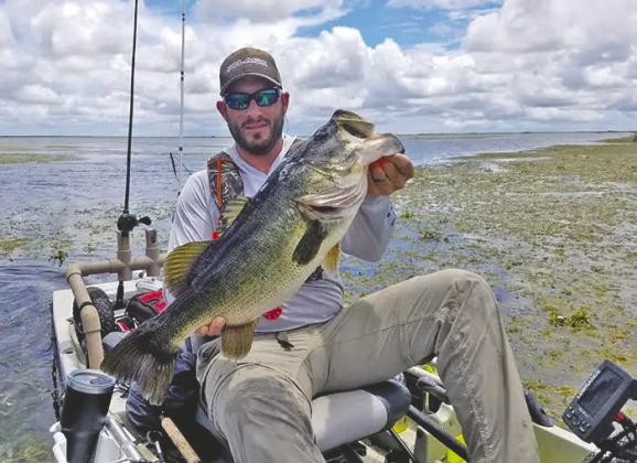 Earlier in February, FWC recognized Florida bass as a unique species and incorporated the name change into rules. SUBMITTED PHOTO