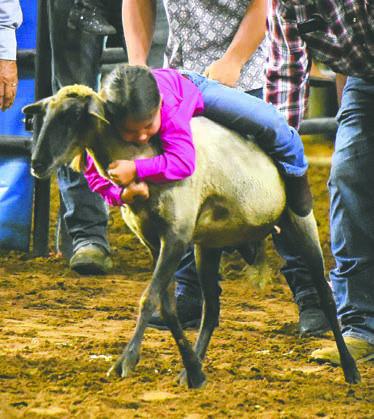 153rd Silver Spurs Rodeo photos by Katie Williams