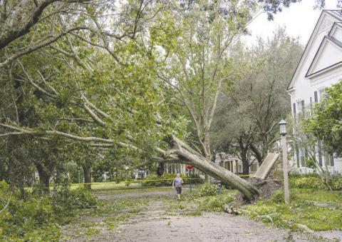 Hurricane Milton struck the Florida west coast and caused some damage in Osceola County. The Colorado State tropical weather research team said 2025 could see above-average storm activity in its first prediction package of the year. FILE PHOTO