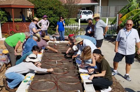 UF/IFAS Extension Services will be cultivating a new group of Master Gardener Volunteers when the next course of classes begins Sept. 14, both online and once a week at Osceola Heritage Park. PHOTO UF/IFAS